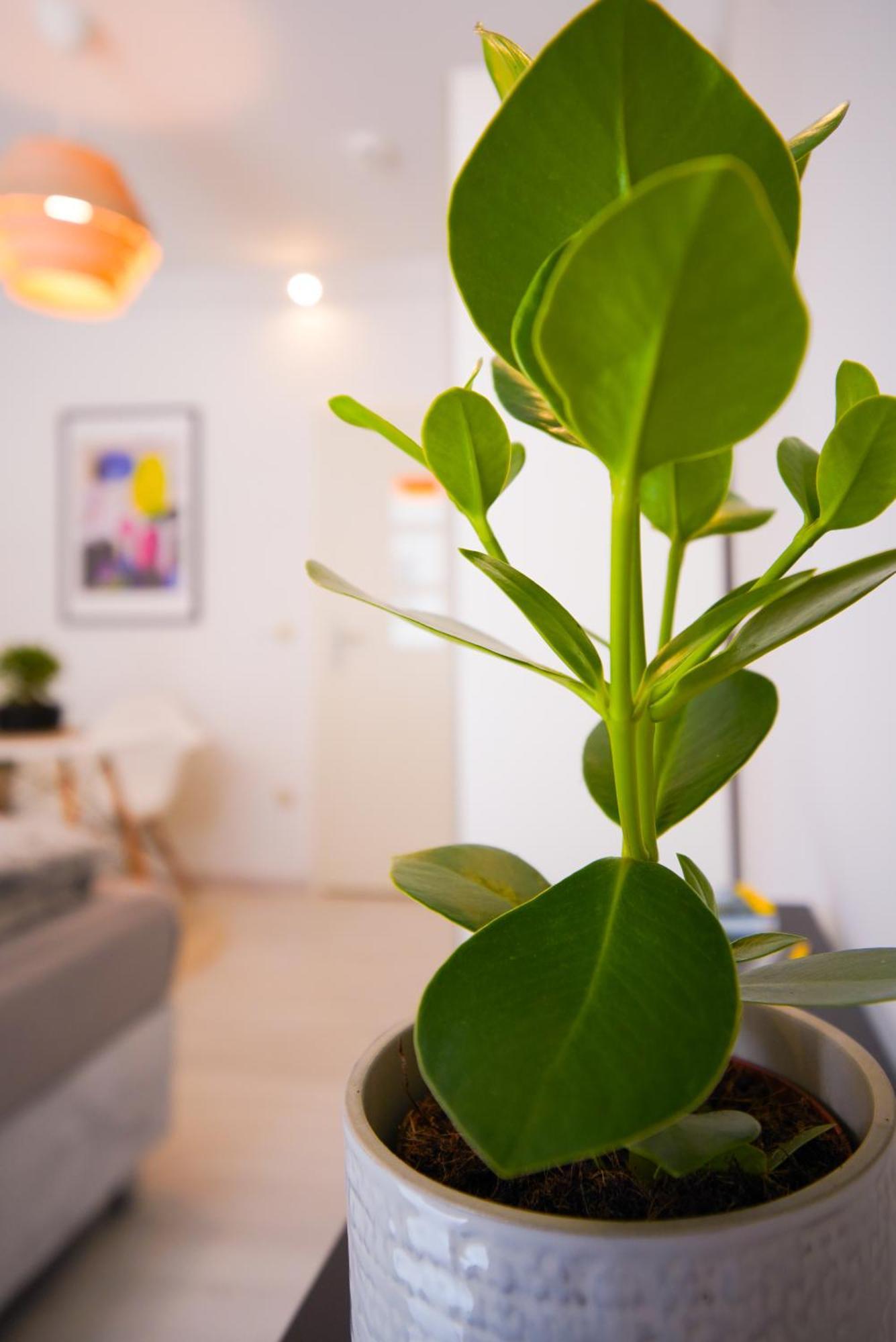 מינכן Stilvolles Apartment Im Laessigsten Viertel מראה חיצוני תמונה